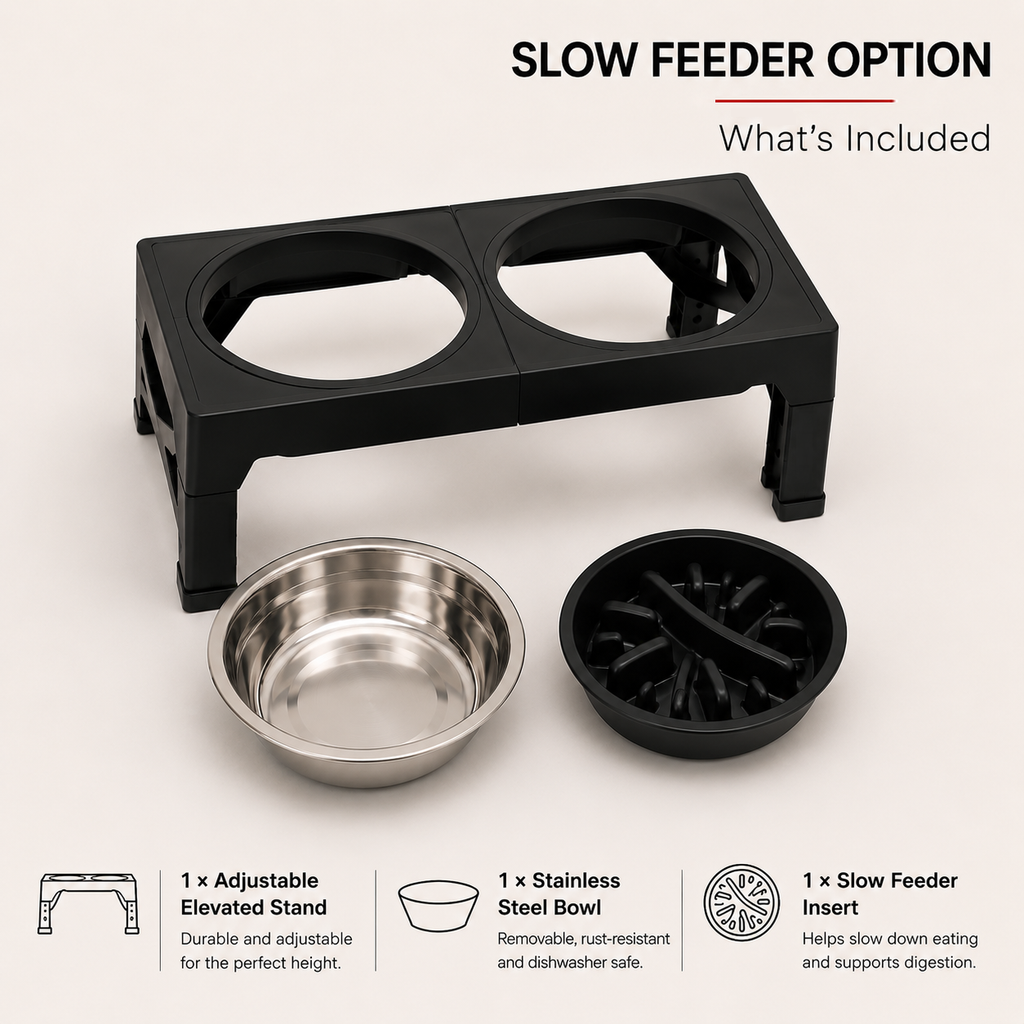 Elevated Pet Feeding Station